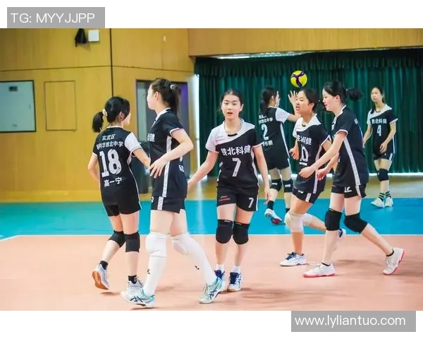 南京排球队在全国排球灵活性排行榜中荣获第三名的佳绩引发关注