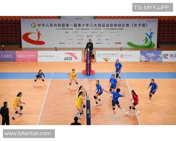 南京排球队引领排球意识新潮流TOP10榜单揭晓