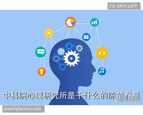 南京极限运动队的意识探索与挑战精神的深度剖析