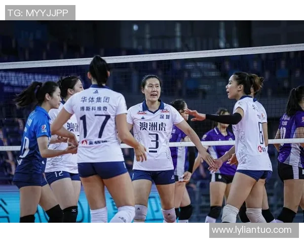 聚焦深圳排球队的个人能力提升与团队协作的完美结合